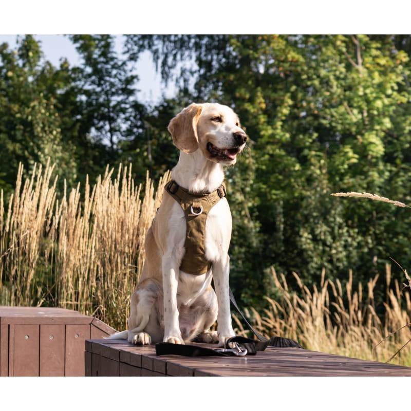 Szelki guard dla psa Truelove Adventure Dog zielony-khaki XS 5 Full Screen