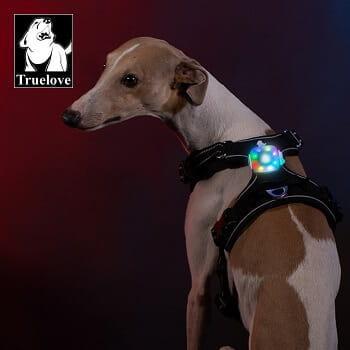 Wodoodporna lampka LED dla psa Truelove Flash czarna 2 Full Screen