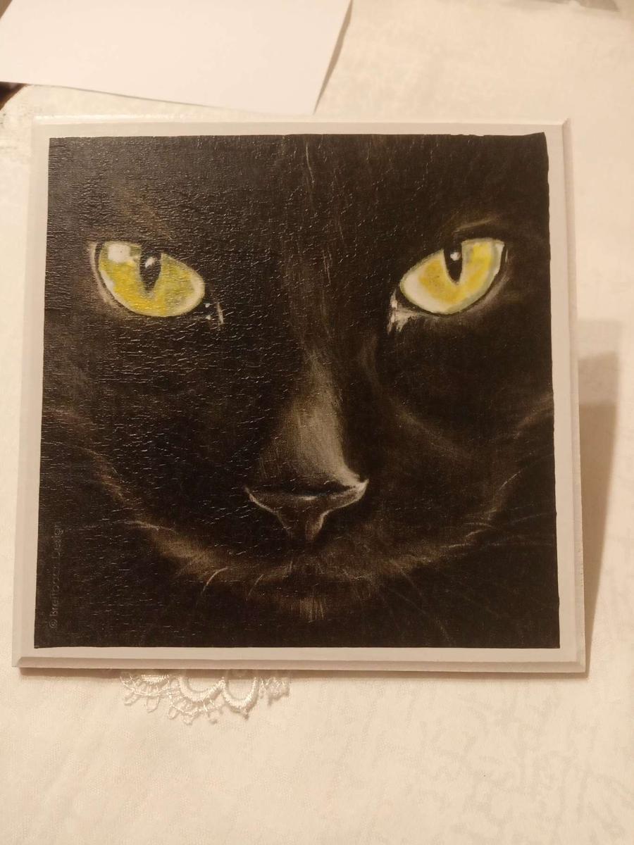 Obrazek z czarnym kotem nr. 1