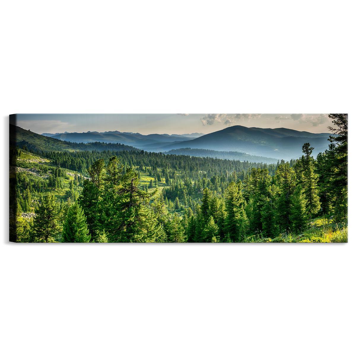 Obraz Panoramiczny Do Salonu LAS Góry Krajobraz Efekt 3D Natura 145x45cm 1 Full Screen