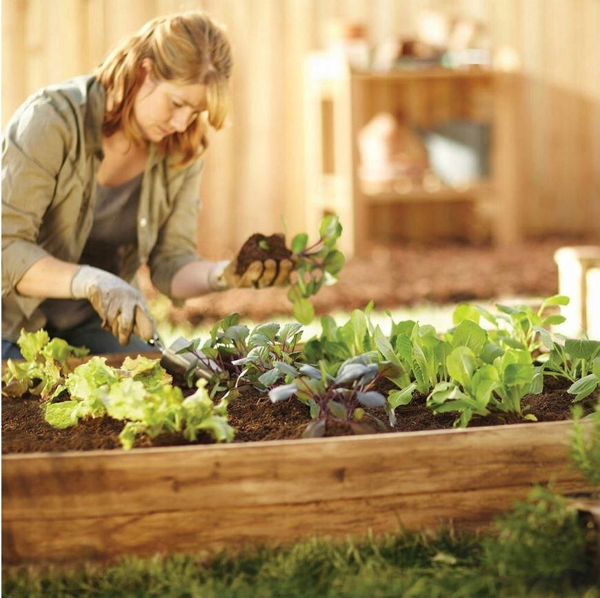 Skrzynie na warzywa warzywniak impregnowany rabata inspekt eko + poradnik do ogrodu nr. 9