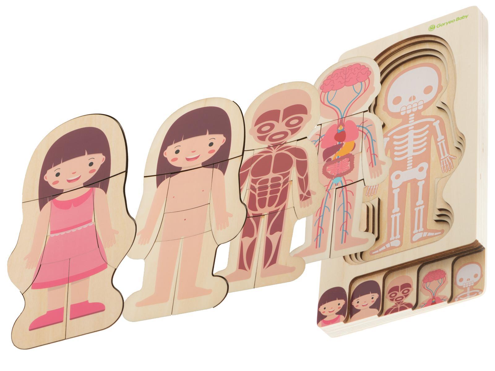 Puzzle drewniane warstwowe budowa ciała montessori dziewczynka zabawka edukacjna dla dzieci 24.5x29x1,7cm  nr. 5
