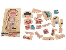 Puzzle drewniane warstwowe budowa ciała chłopiec montessori zabawka edukacyjna dla dzieci 24,5x29x1,7cm  - Miniaturka zdjęcia nr 13