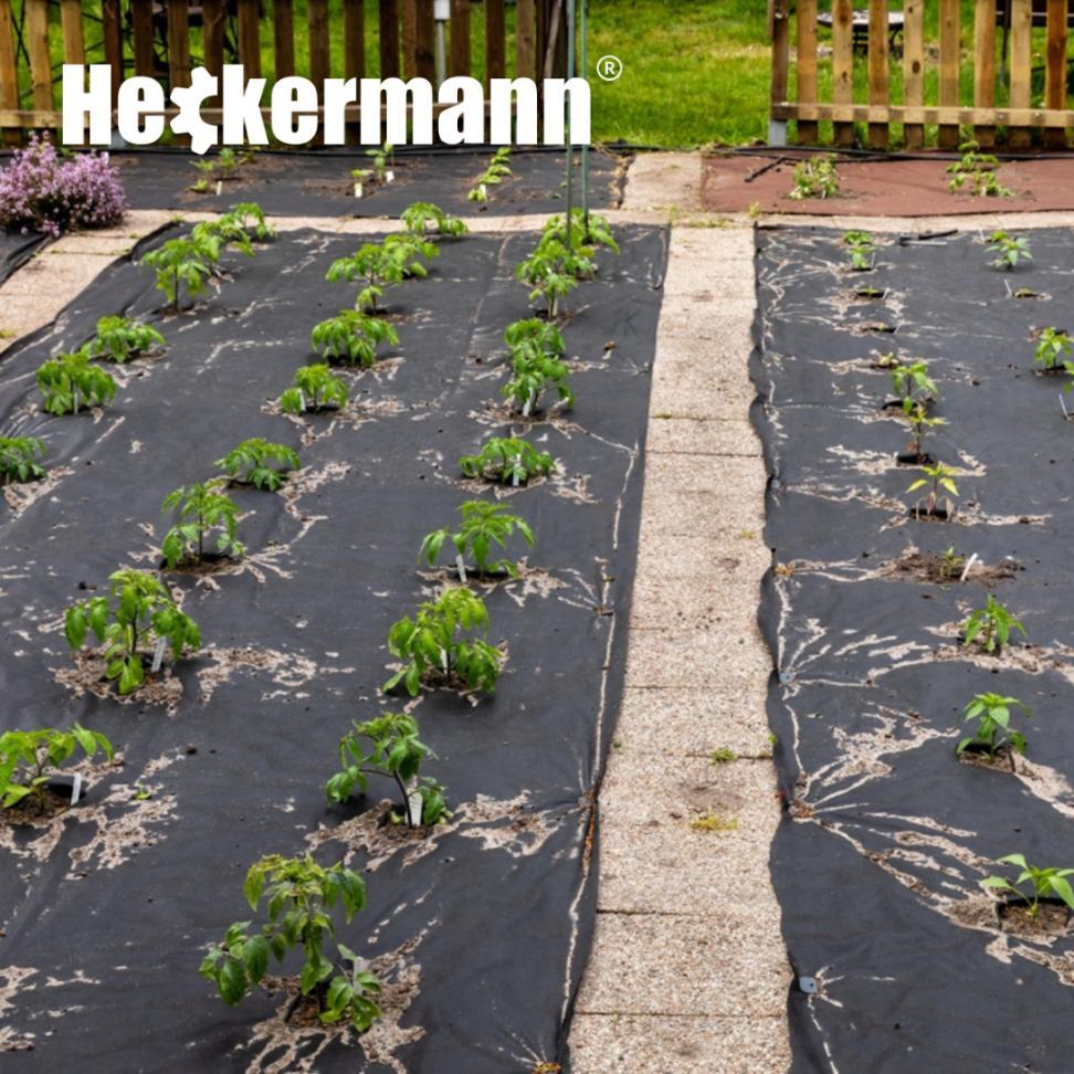Agrowłóknina Heckermann 1,6x50m 150g/m2 Czarna nr. 11