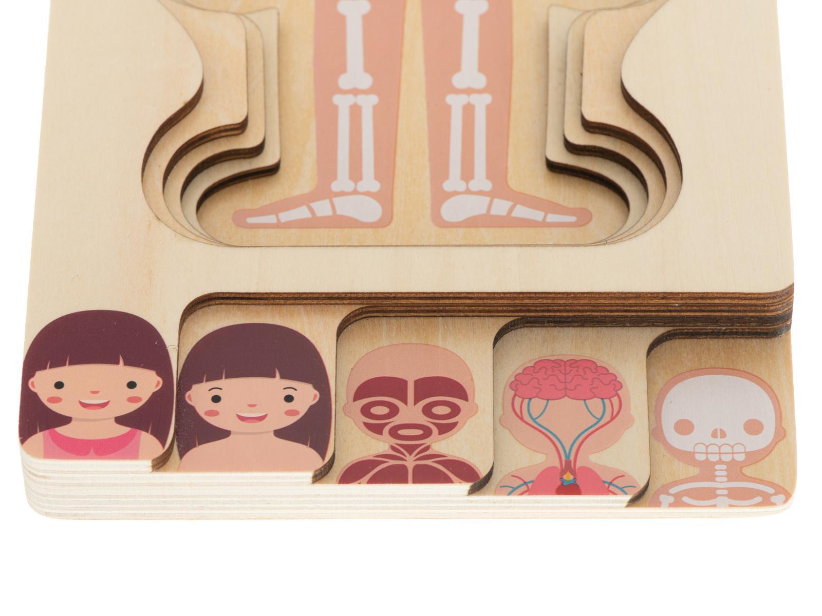 Puzzle drewniane warstwowe budowa ciała montessori dziewczynka zabawka edukacjna dla dzieci 24.5x29x1,7cm  nr. 14