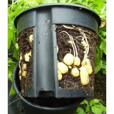 Zestaw doniczka okrągła Potato Grower400 + nasiona nr. 4