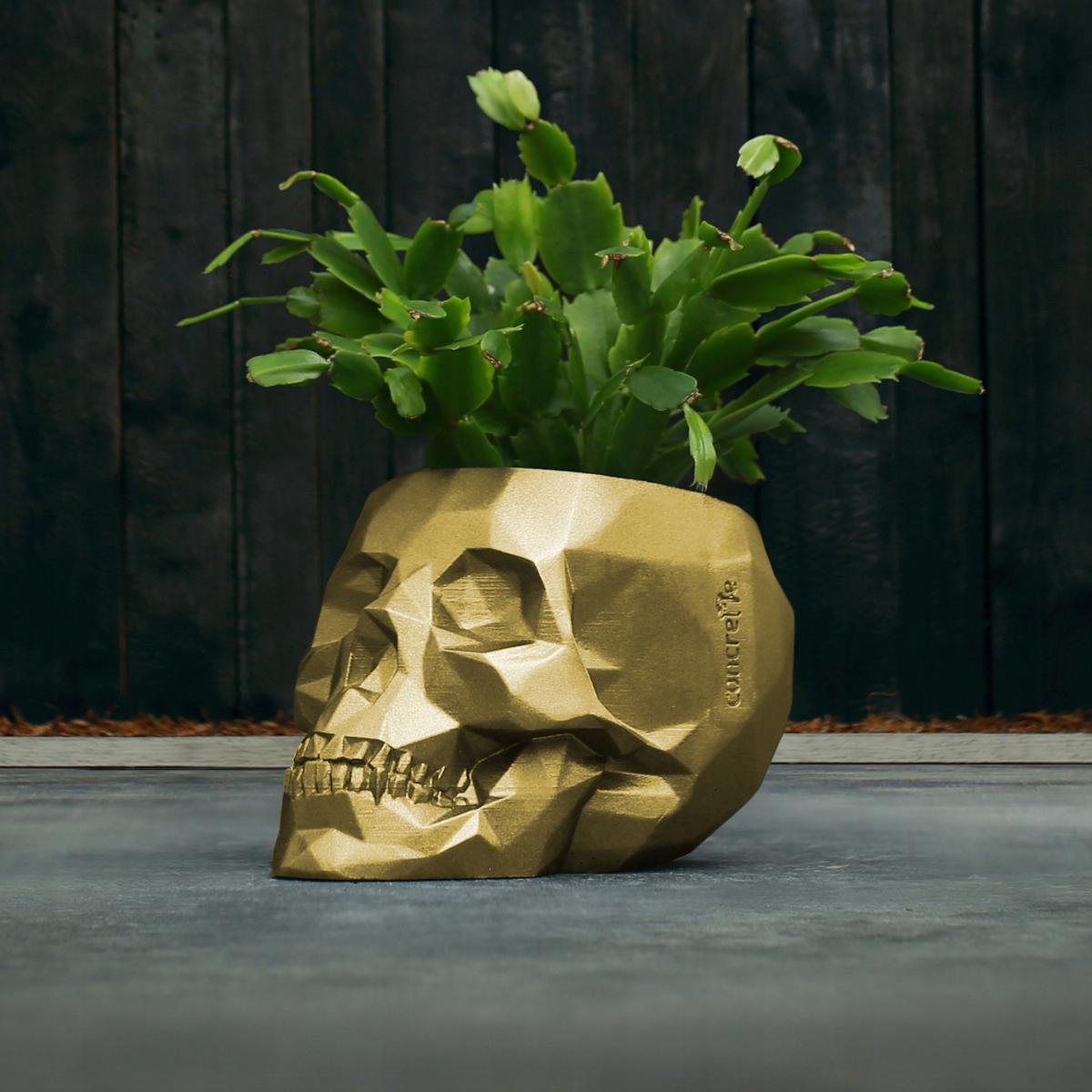 Doniczka betonowa Skull Low-Poly 11 cm | Klasyczne Złoto nr. 9
