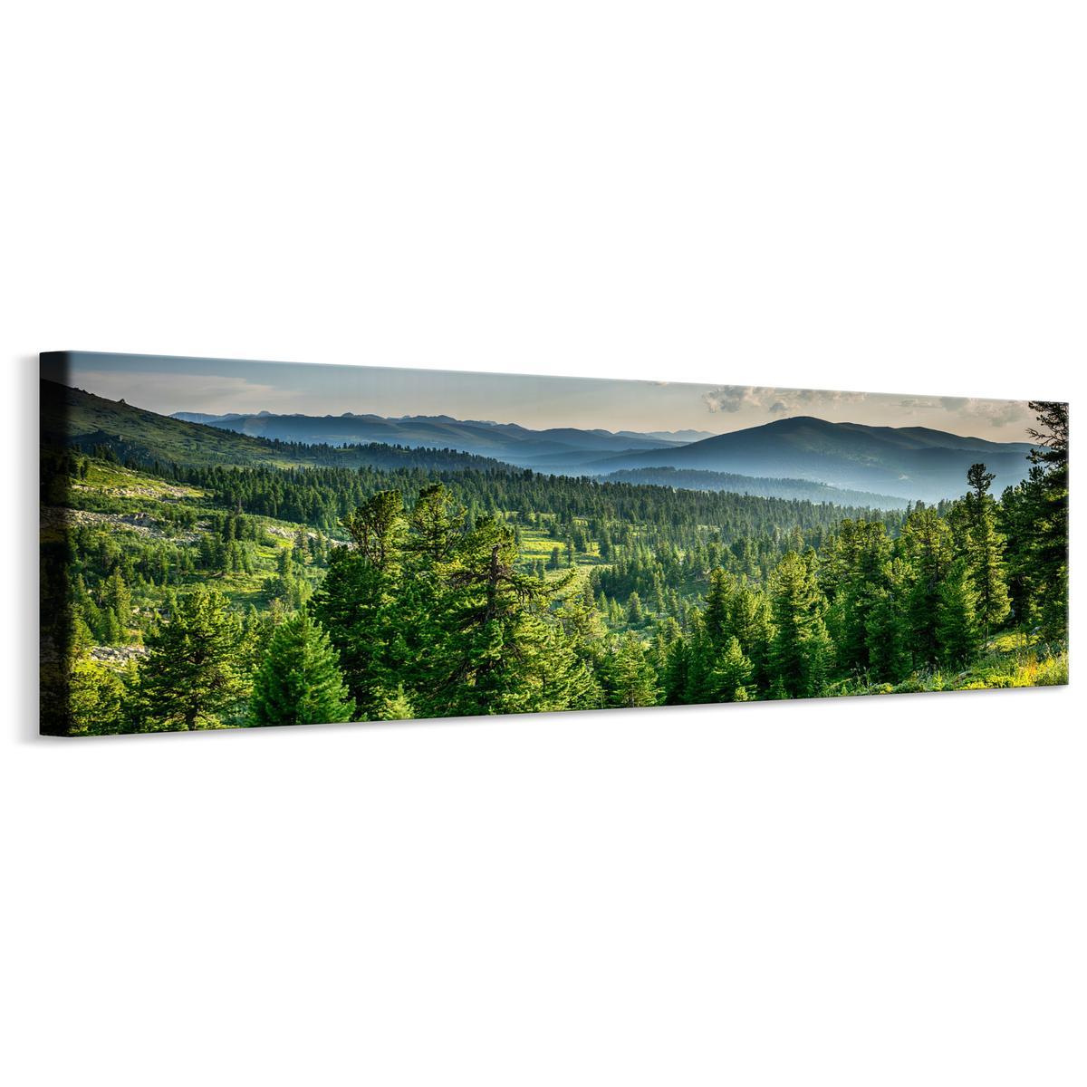 Obraz Panoramiczny Do Salonu LAS Góry Krajobraz Efekt 3D Natura 145x45cm 0 Full Screen