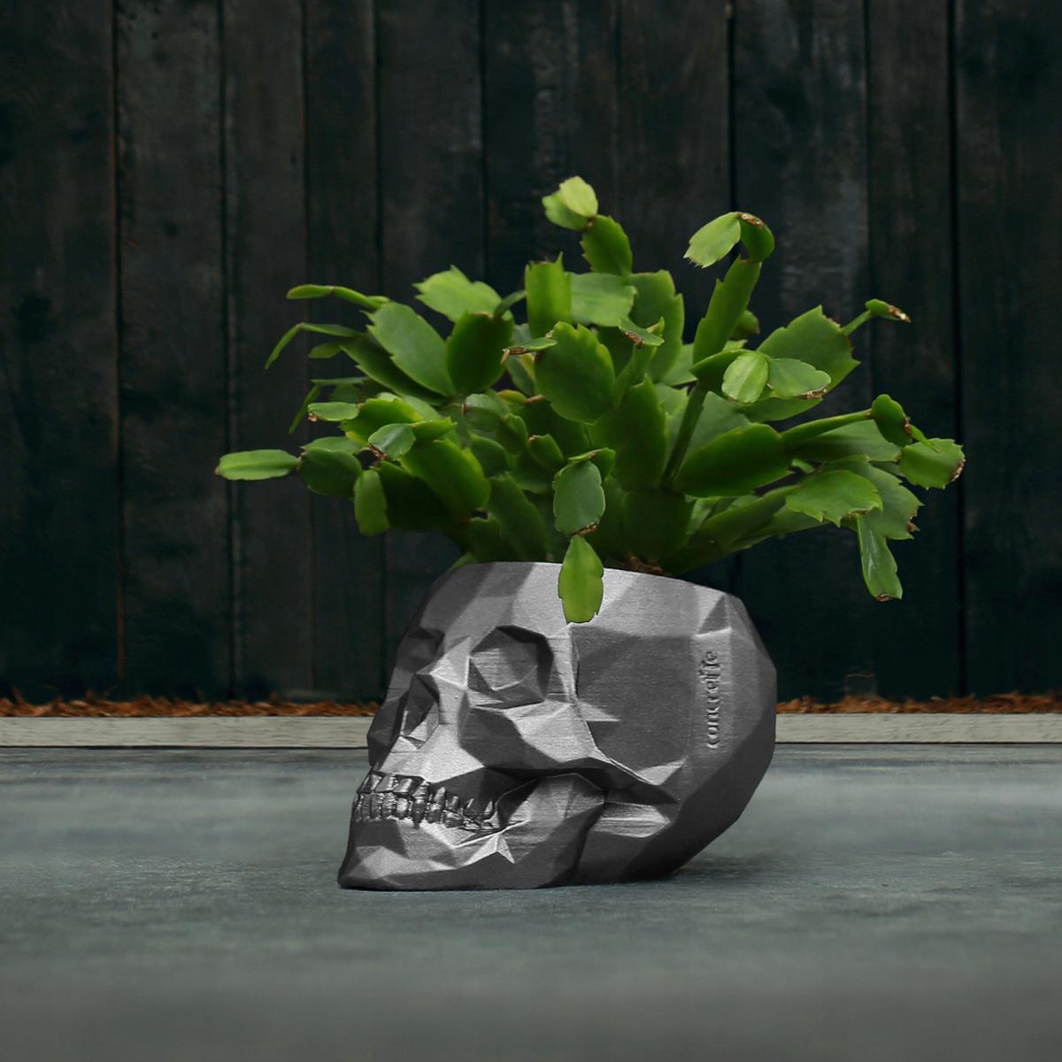 Doniczka betonowa Skull Low-Poly 7,6 cm | Stal nr. 9