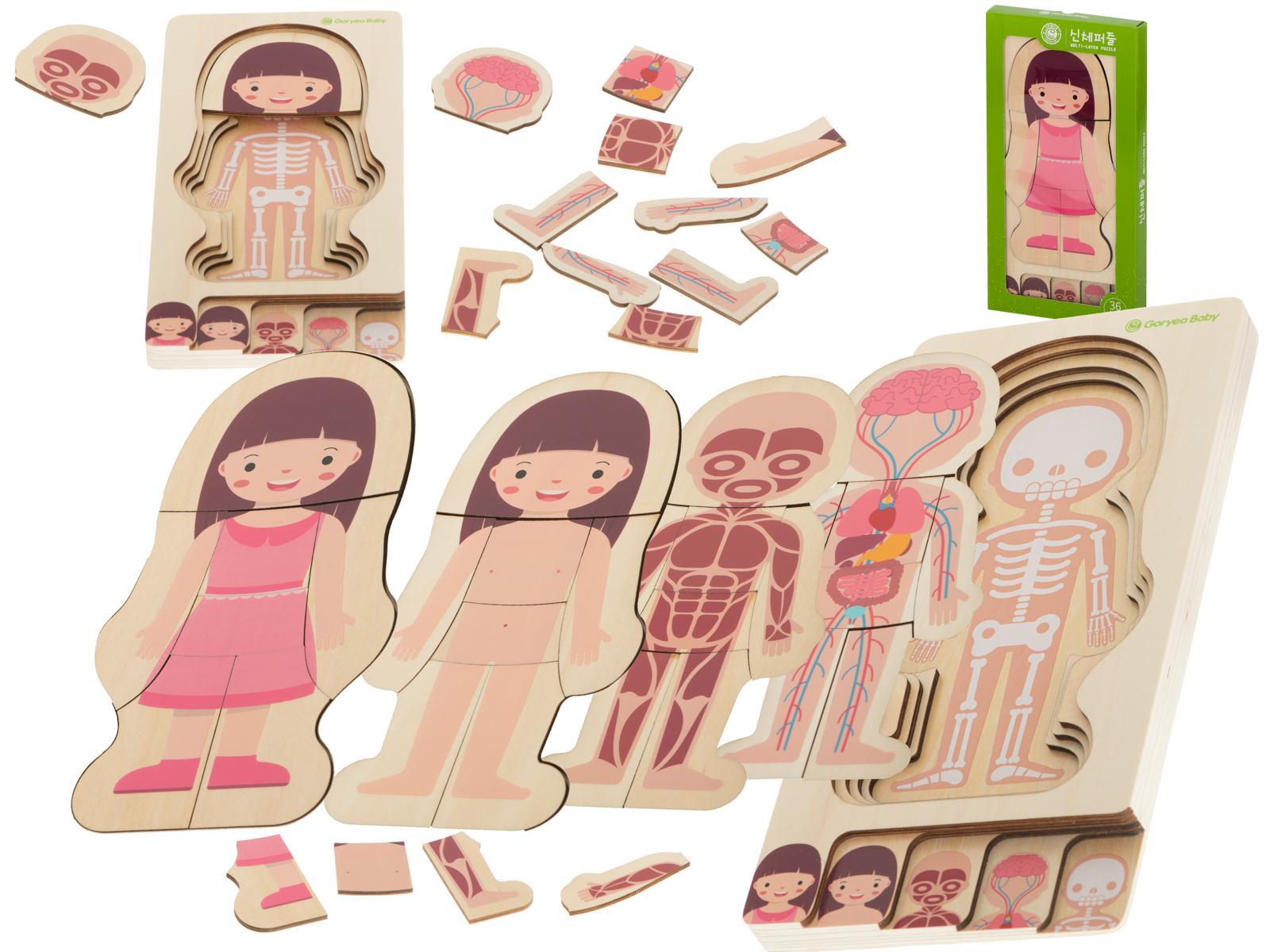 Puzzle drewniane warstwowe budowa ciała montessori dziewczynka zabawka edukacjna dla dzieci 24.5x29x1,7cm  nr. 1