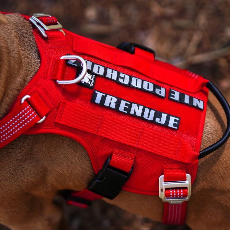 Szelki antyucieczkowe dla psa Truelove Hiking czerwone L 4 Full Screen
