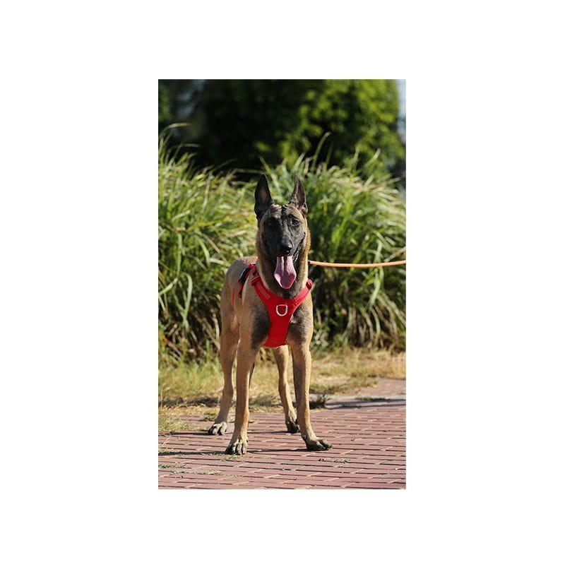 Szelki antyucieczkowe dla psa Truelove Hiking czerwone M 5 Full Screen