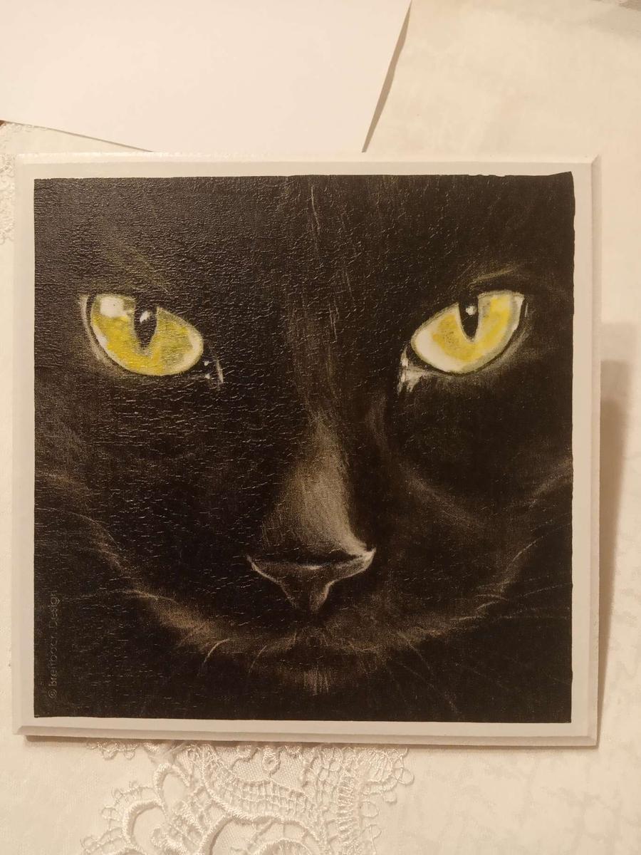 Obrazek z czarnym kotem nr. 2