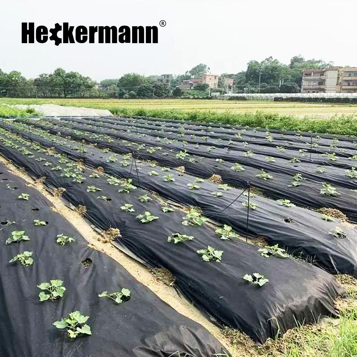 Agrowłóknina Heckermann 1,6x50m 150g/m2 Czarna nr. 4
