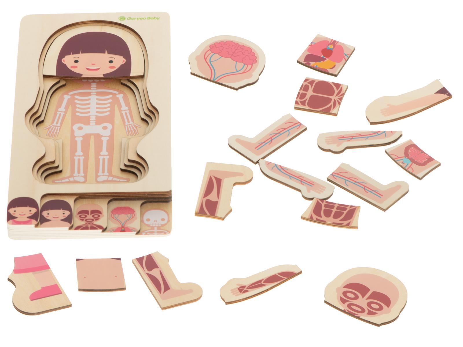 Puzzle drewniane warstwowe budowa ciała montessori dziewczynka zabawka edukacjna dla dzieci 24.5x29x1,7cm  nr. 6