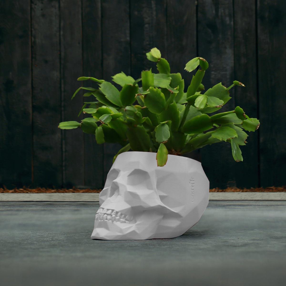 Doniczka betonowa Skull Low-Poly 7,6 cm | Biały Mat czaszka dekoracyjna  nr. 9