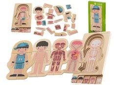 Puzzle drewniane warstwowe budowa ciała chłopiec montessori zabawka edukacyjna dla dzieci 24,5x29x1,7cm  - Miniaturka zdjęcia nr 1