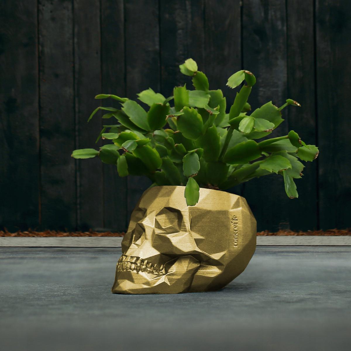 Doniczka betonowa Skull Low-Poly 7,6 cm | Klasyczne Złoto nr. 9