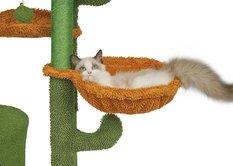 Drapak dla kota 47x90 cm zielono brązowy wieża legowisko zabawka dla zwierząt  - Miniaturka zdjęcia nr 4