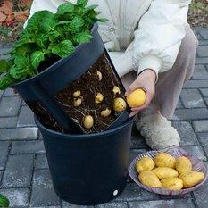 Zestaw doniczka okrągła Potato Grower400 + nasiona - Miniaturka zdjęcia nr 6