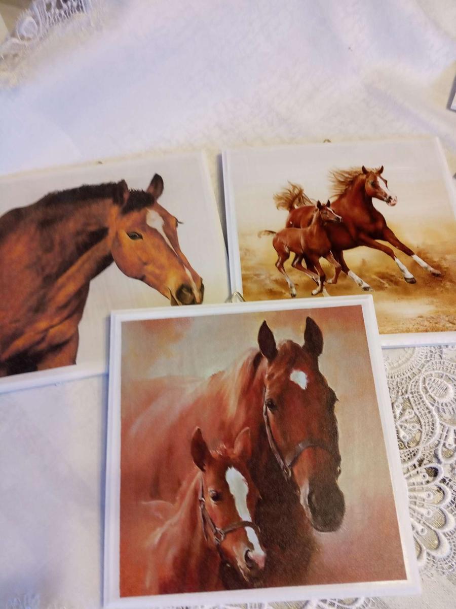 Obrazek z koniem komplet 3 sztuki nr. 1