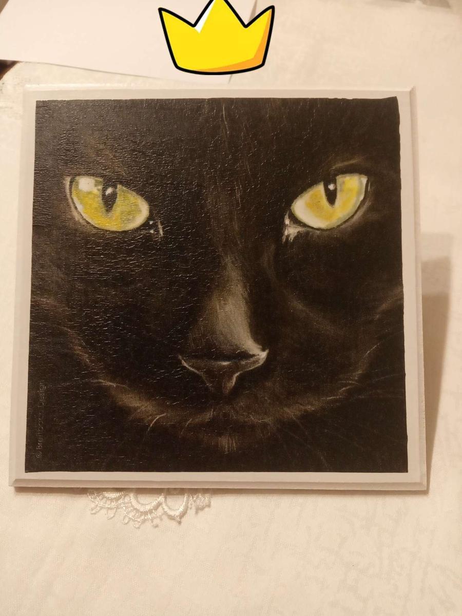 Obrazek z czarnym kotem nr. 3