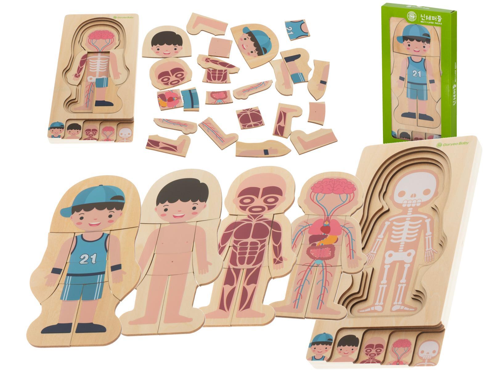 Puzzle drewniane warstwowe budowa ciała chłopiec montessori zabawka edukacyjna dla dzieci 24,5x29x1,7cm  nr. 1