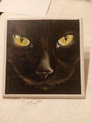 Obrazek z czarnym kotem