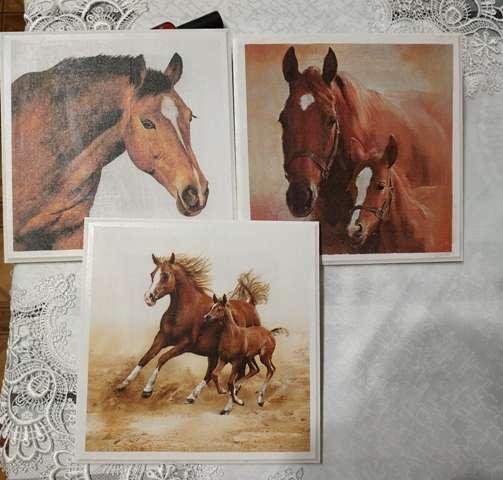 Obrazek z koniem komplet 3 sztuki nr. 3