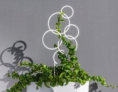 Podpórka do roślin Drabinka Pergola na kwiaty - Miniaturka zdjęcia nr 2