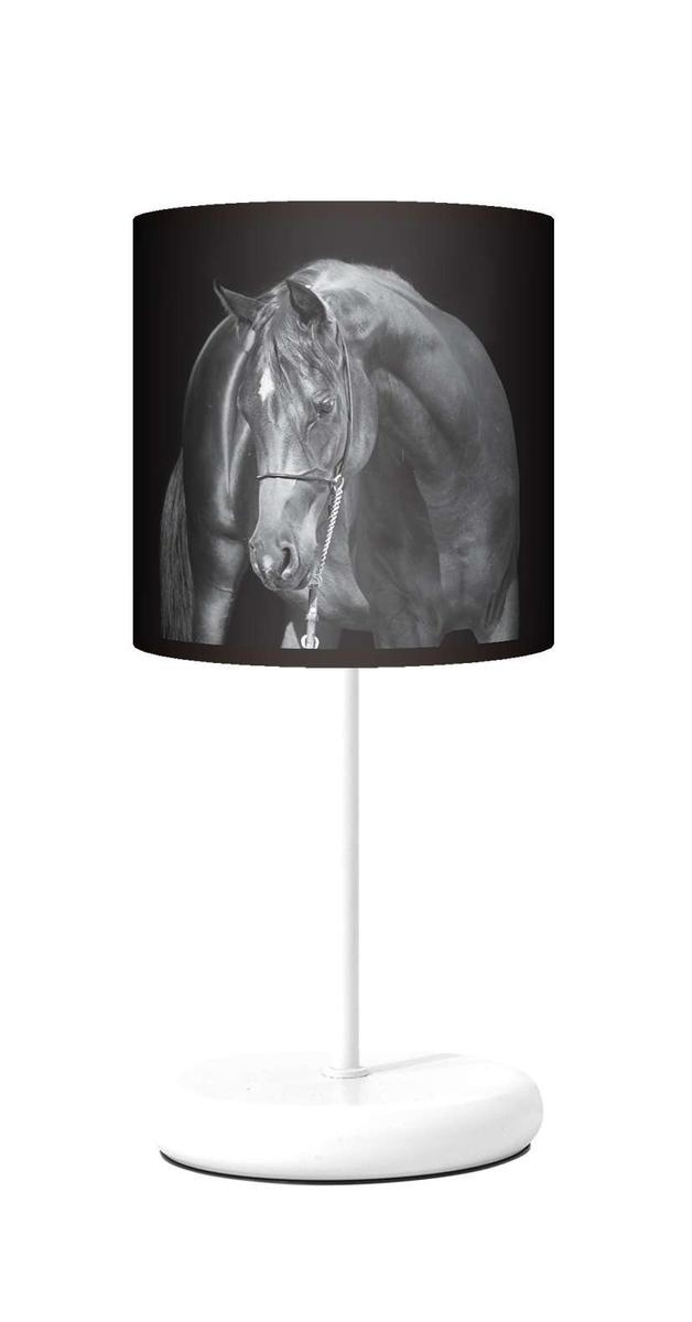 Lampa stojąca EKO - Black Horse nr. 2