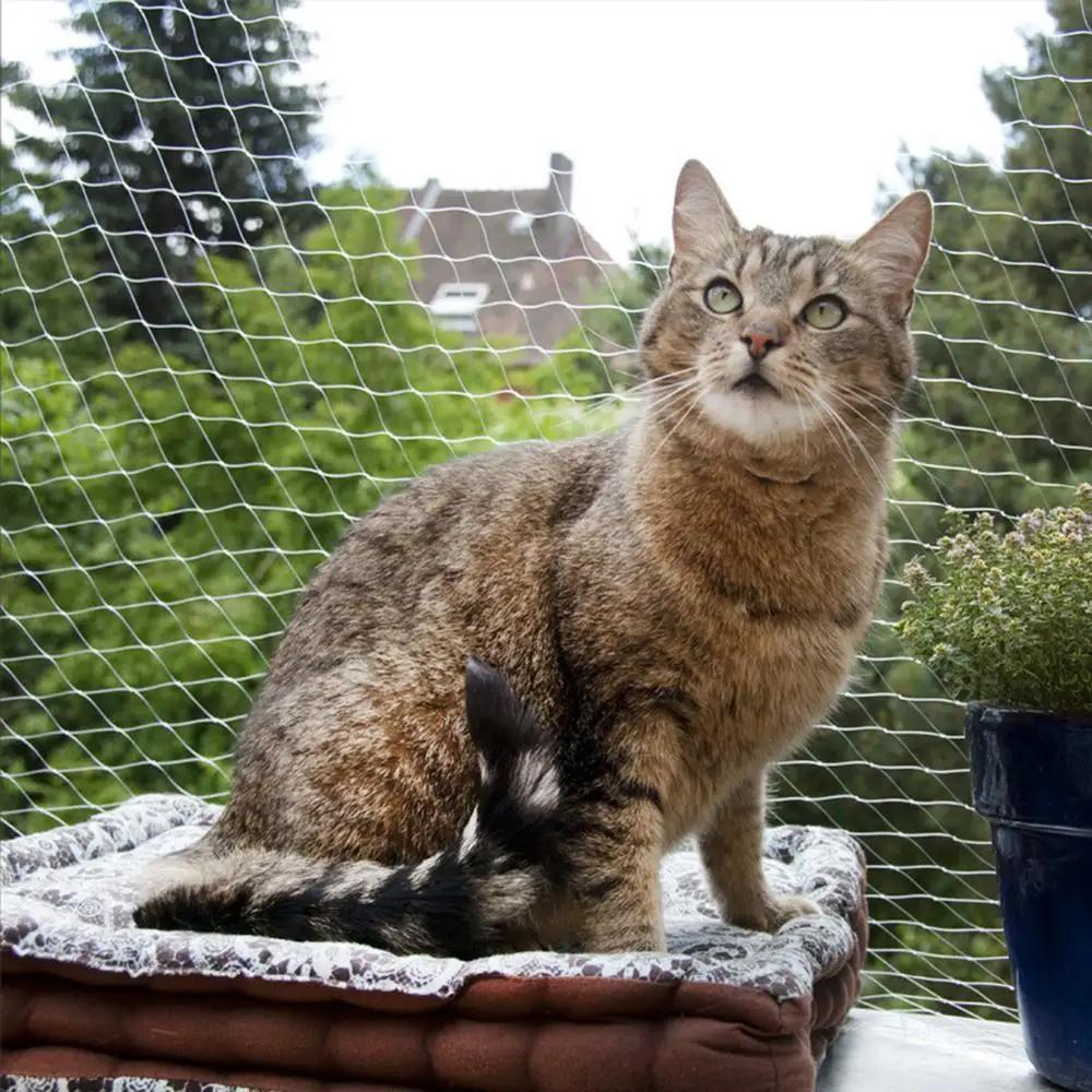 Zestaw Siatka na balkon dla kotów Heckermann 6x3m + Klej do siatki na balkon dla kotów beżowy nr. 7