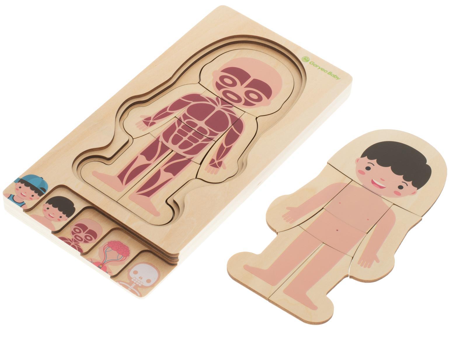 Puzzle drewniane warstwowe budowa ciała chłopiec montessori zabawka edukacyjna dla dzieci 24,5x29x1,7cm  nr. 9