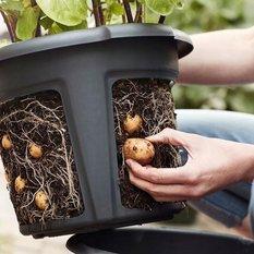 Zestaw doniczka okrągła Potato Grower300 + nasiona - Miniaturka zdjęcia nr 3