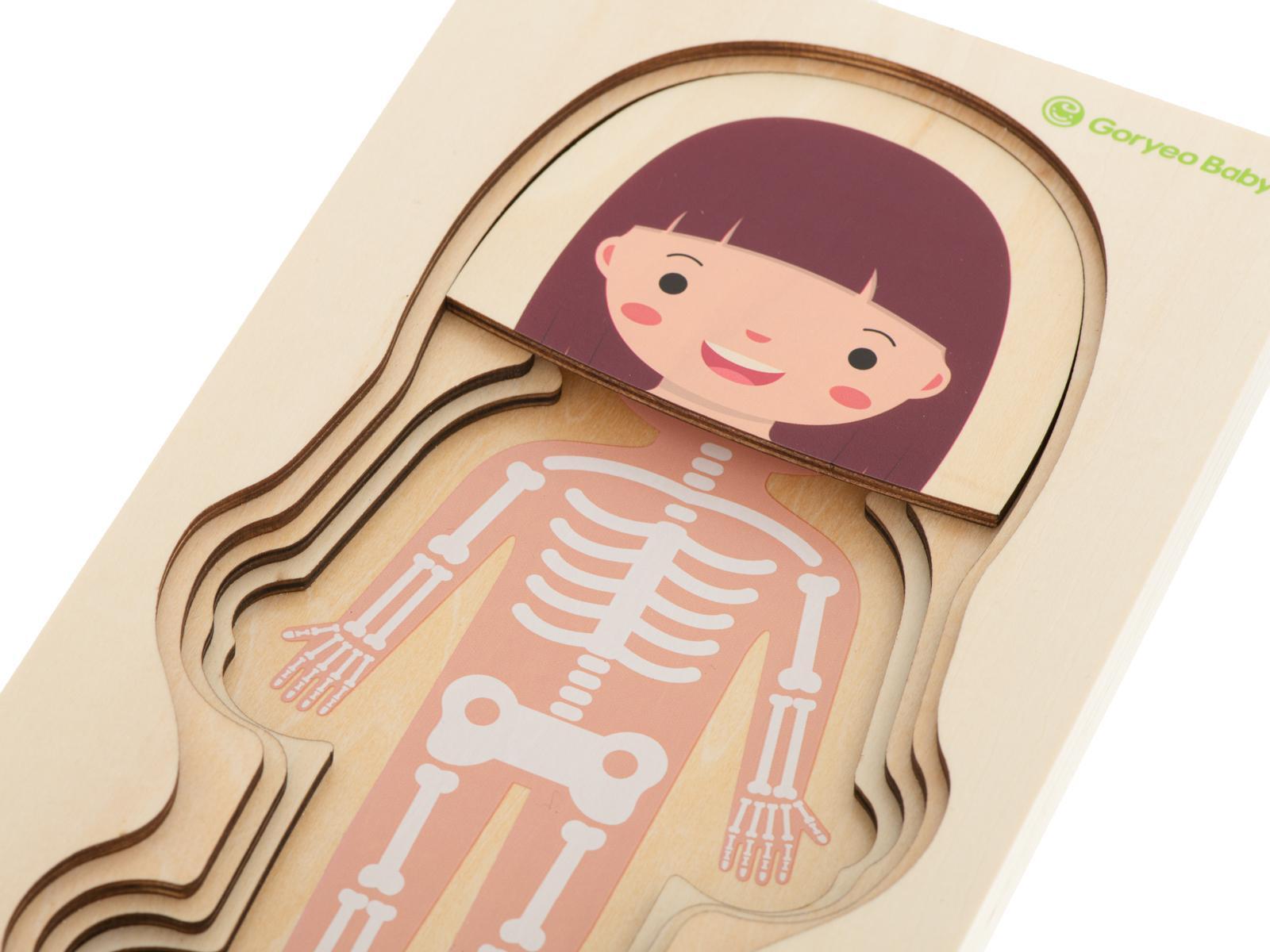 Puzzle drewniane warstwowe budowa ciała montessori dziewczynka zabawka edukacjna dla dzieci 24.5x29x1,7cm  nr. 13
