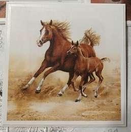 Obrazek z koniem komplet 3 sztuki nr. 2