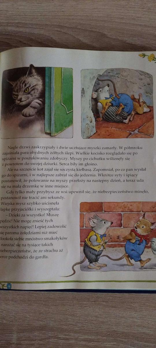 Książka  Trzy Małe Świnki i inne bajki - Złota Encyklopedia  7 Full Screen