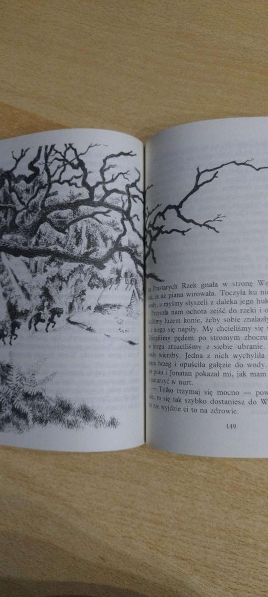 Książka   Bracia Lwie Serce - Astrid Lindgren . 5 Full Screen