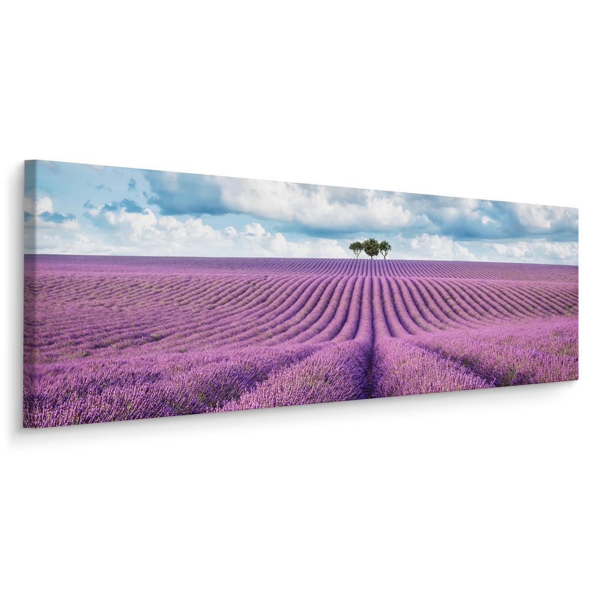 Obraz Do Jadalni Pole LAWENDY Panorama Kwiaty Natura 145x45cm 0 Full Screen