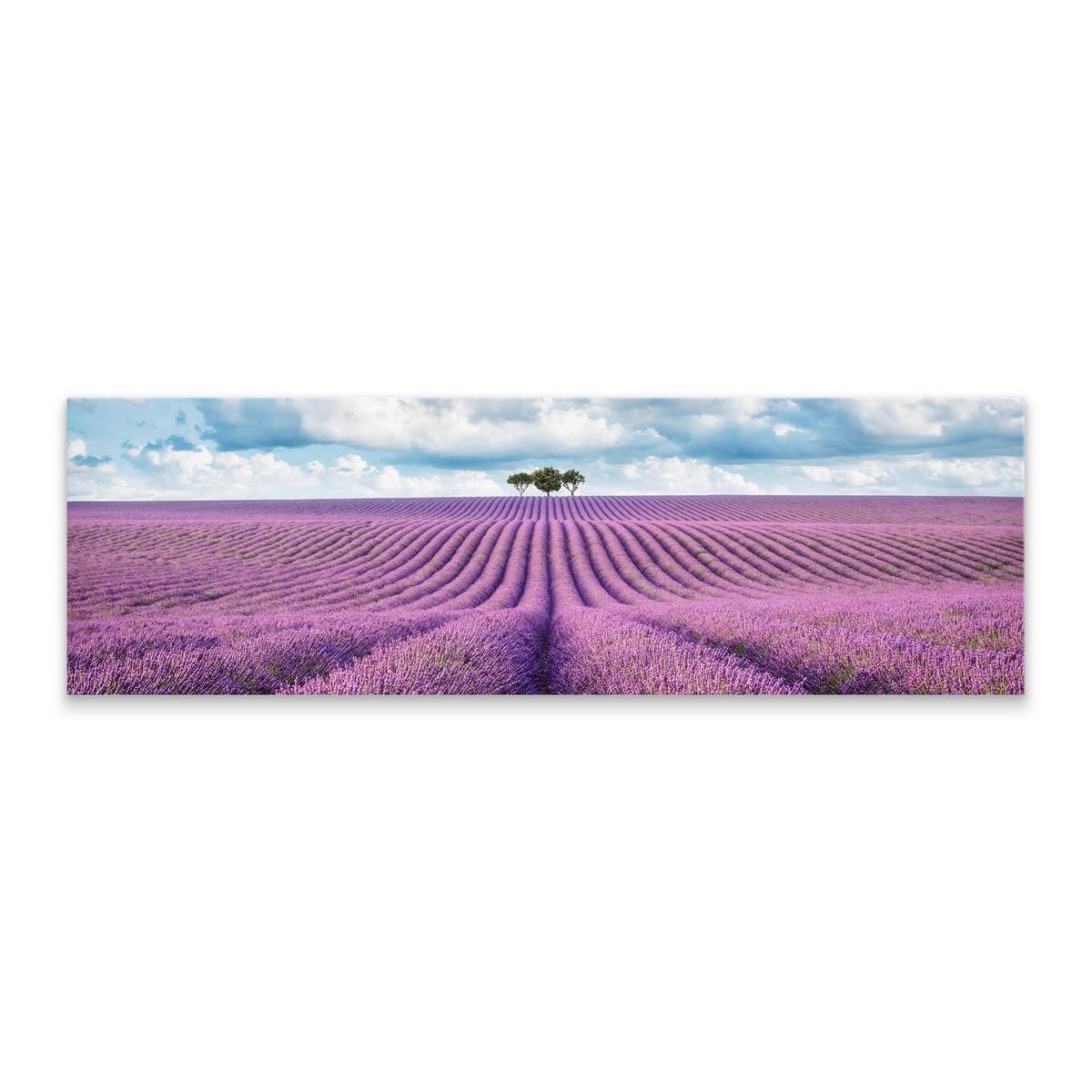 Obraz Do Jadalni Pole LAWENDY Panorama Kwiaty Natura 145x45cm 1 Full Screen